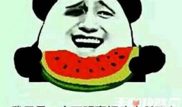 梗游戏吃瓜,揭秘梗游戏背后的趣味与智慧