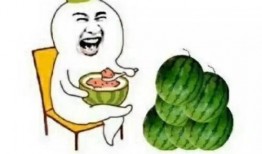 吃瓜就是关注吗,关注背后的社会现象解析